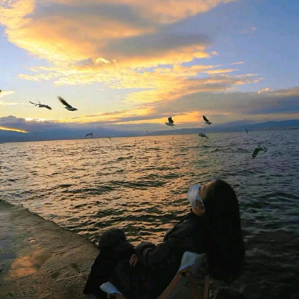 这颗心从不畏惧