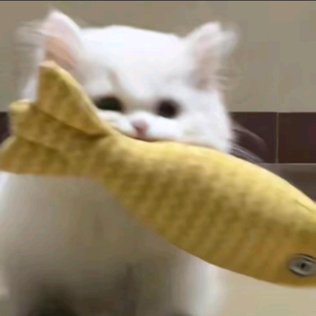 萌宠小可爱♧