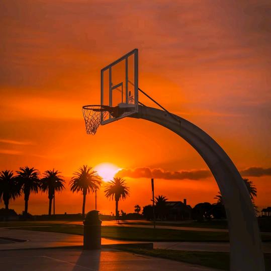 体育圈的倒爷！