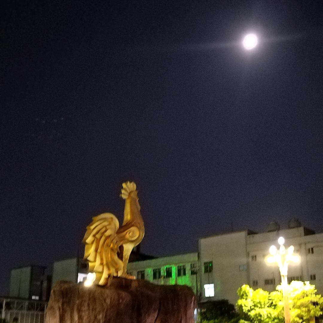 晨  曦
