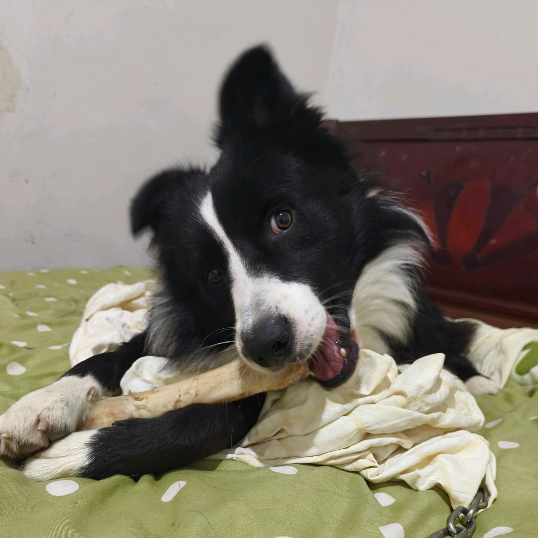 聪明边边
