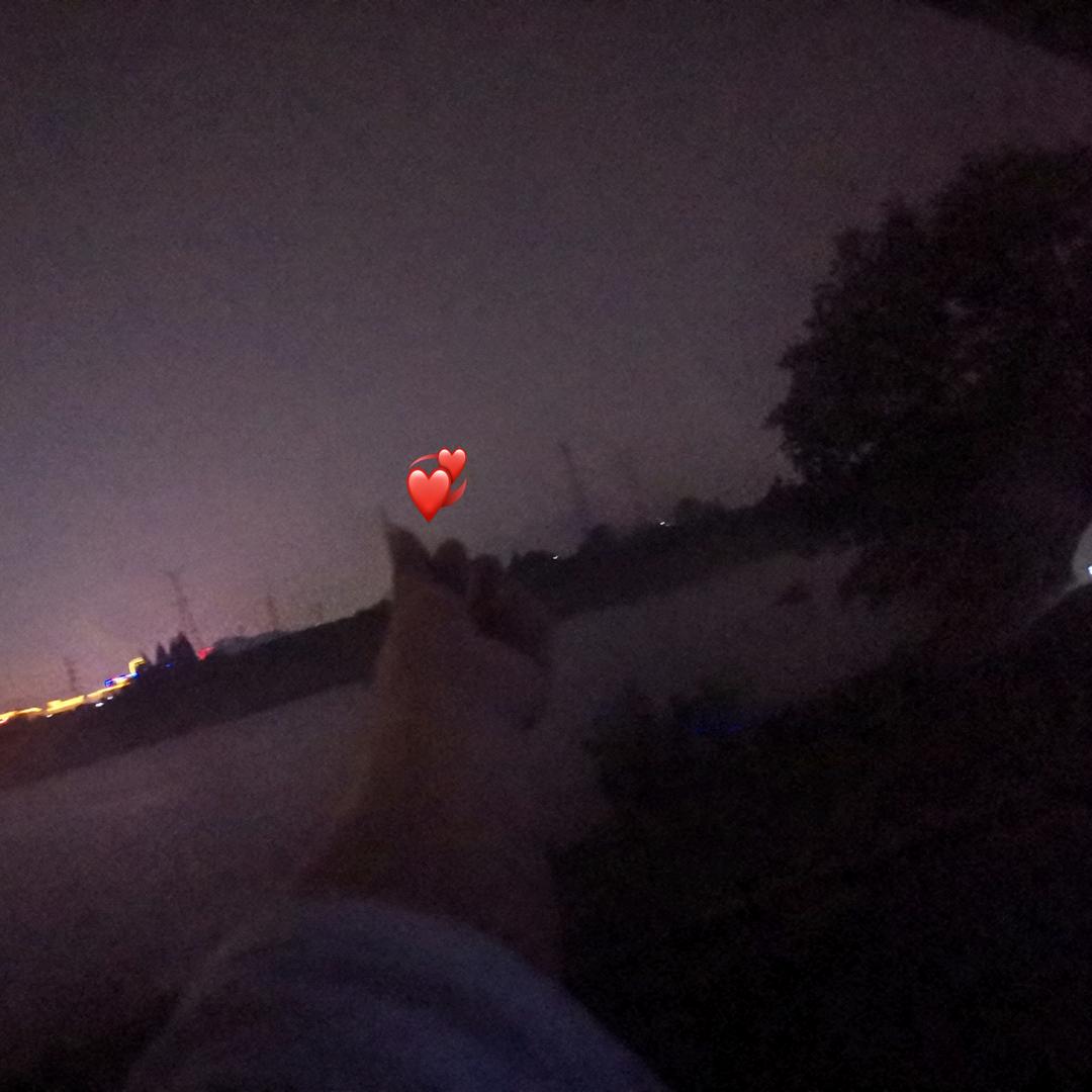 ദ്ദി˶ー̀֊ー́ )✧星