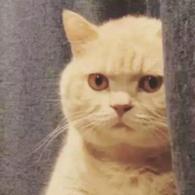 乄乂（三角洲行动）