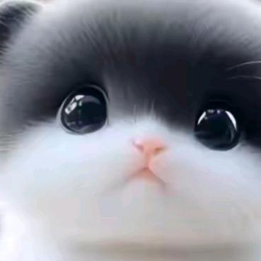 💎凡间一粒沙💎