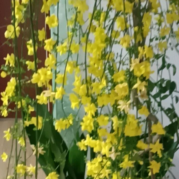 奔驰的骏马。