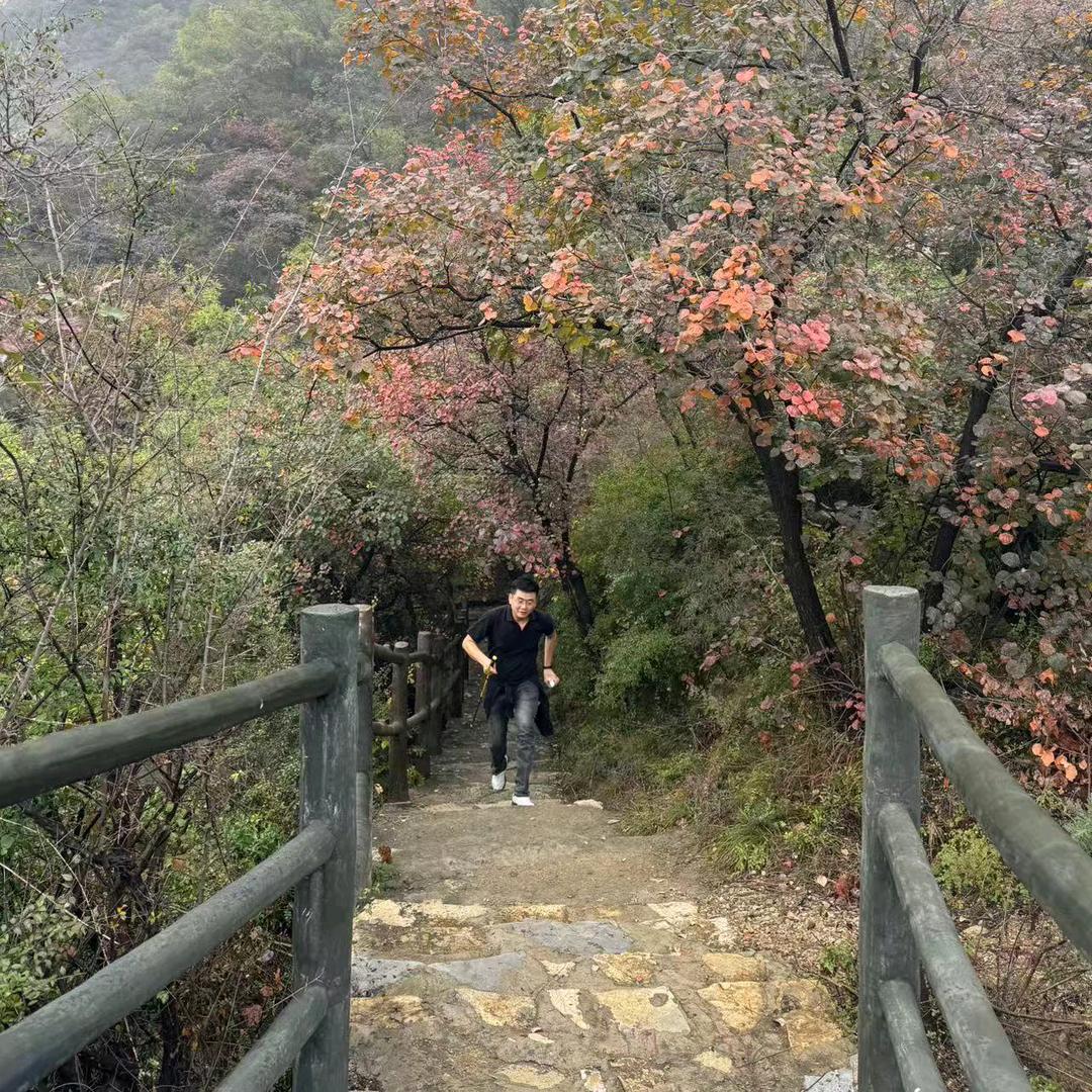 甄晓峰
