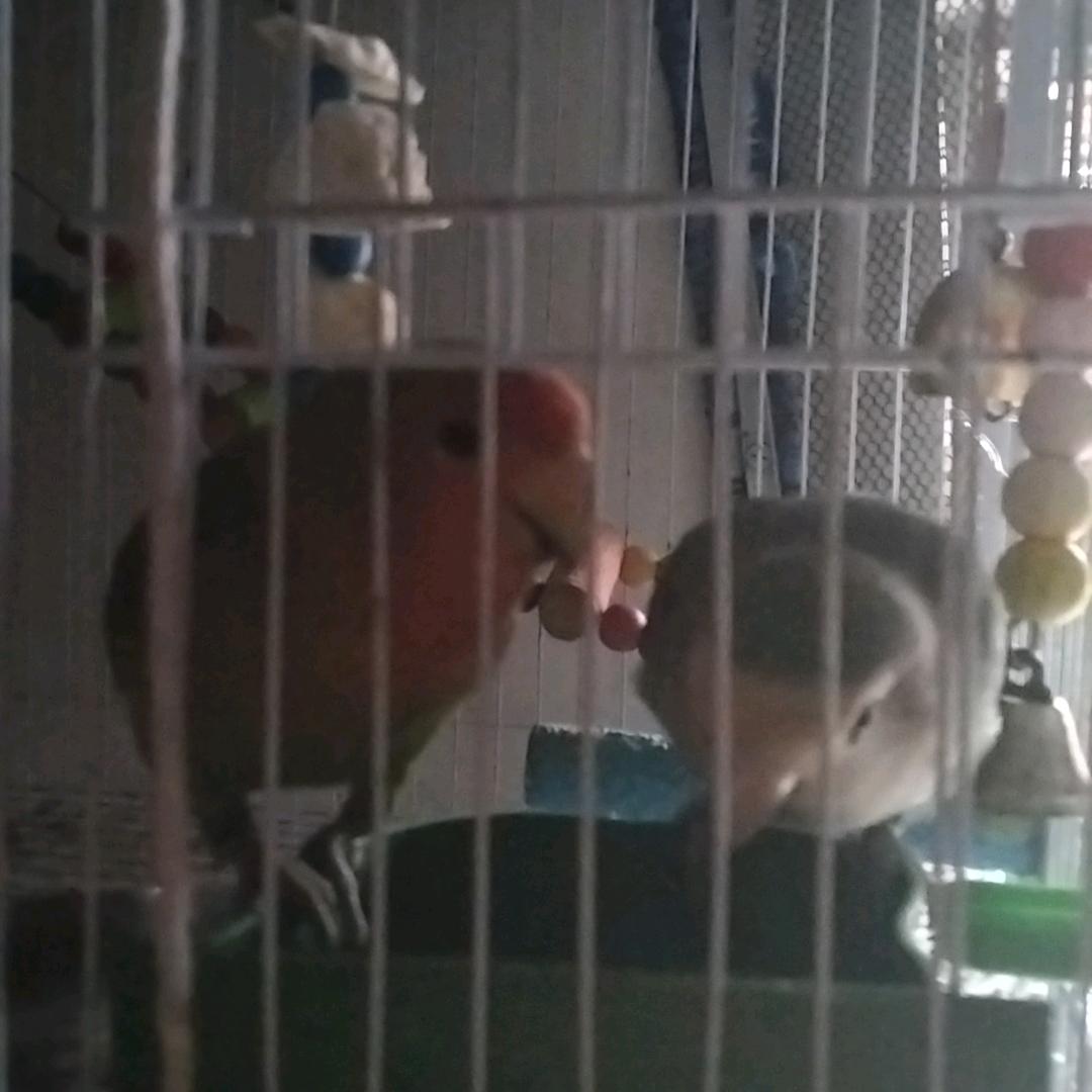 陈涛