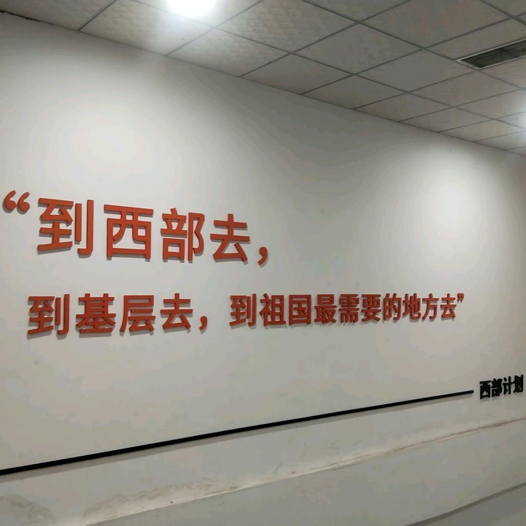 儋阳新青力