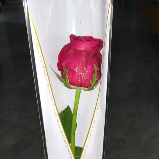 伟伟1990