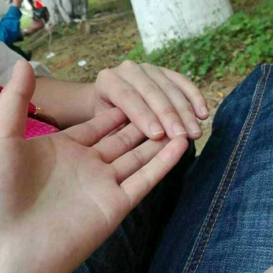 莲花轻素栖花里贺双佳