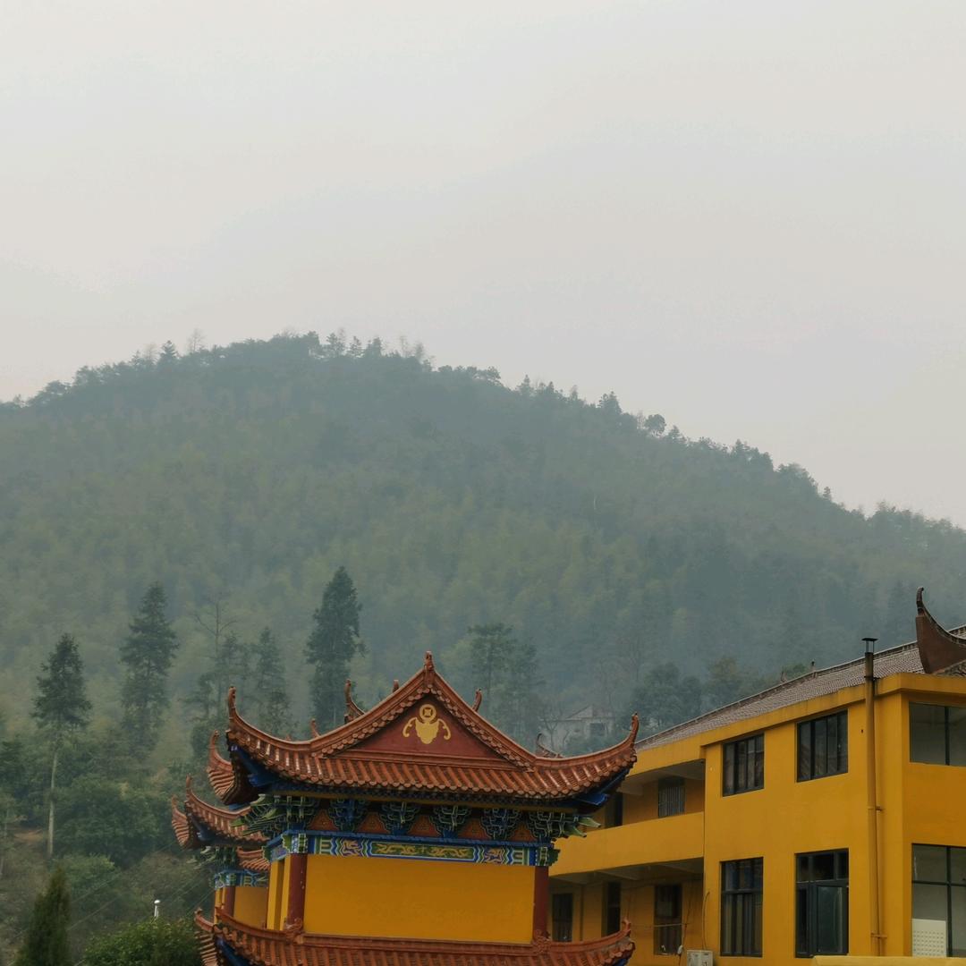 小尹