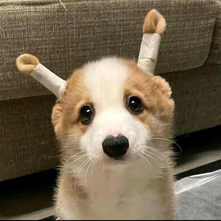 _忆欲