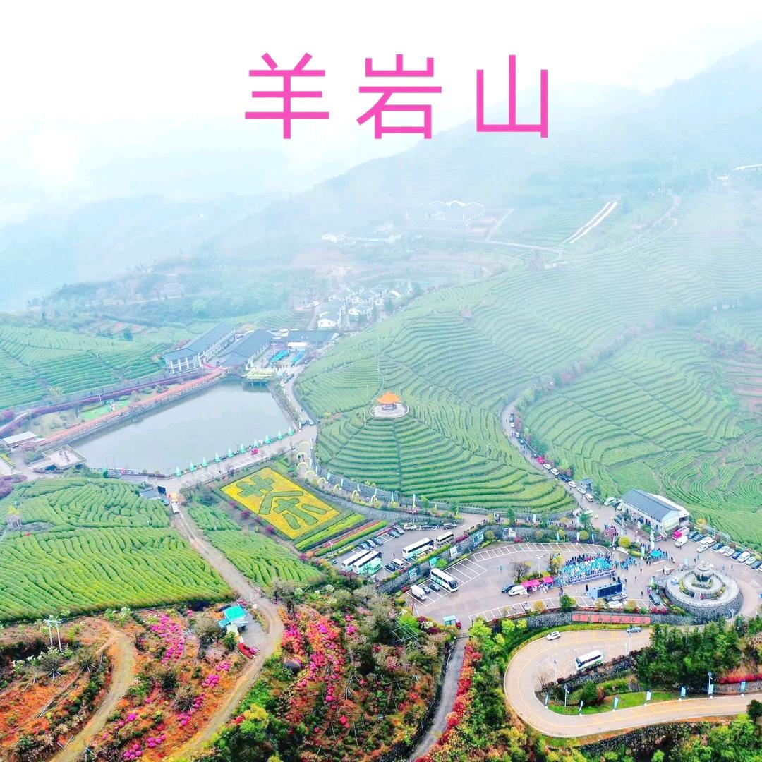 众腾人力资源常年招工