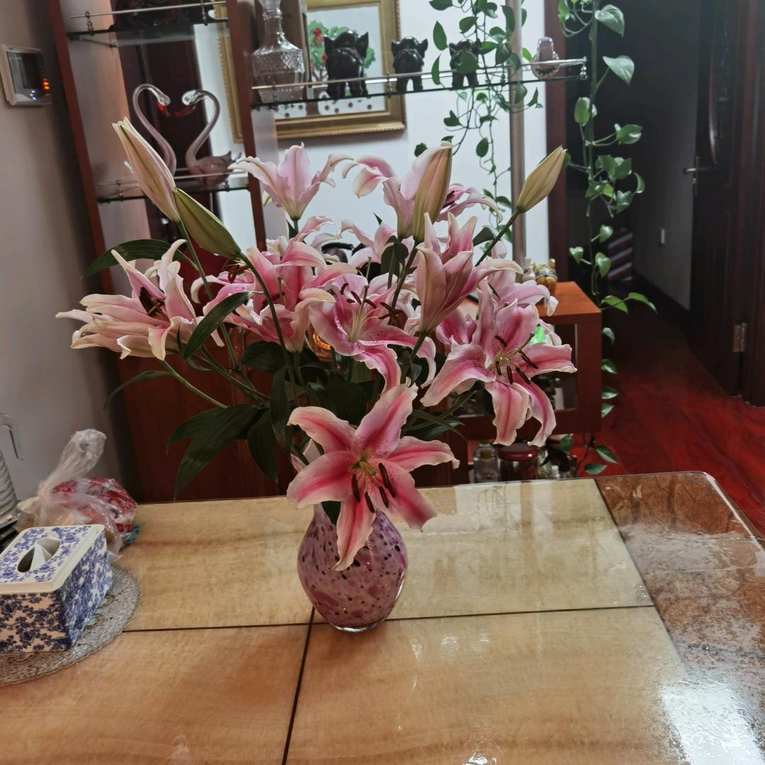 谢
