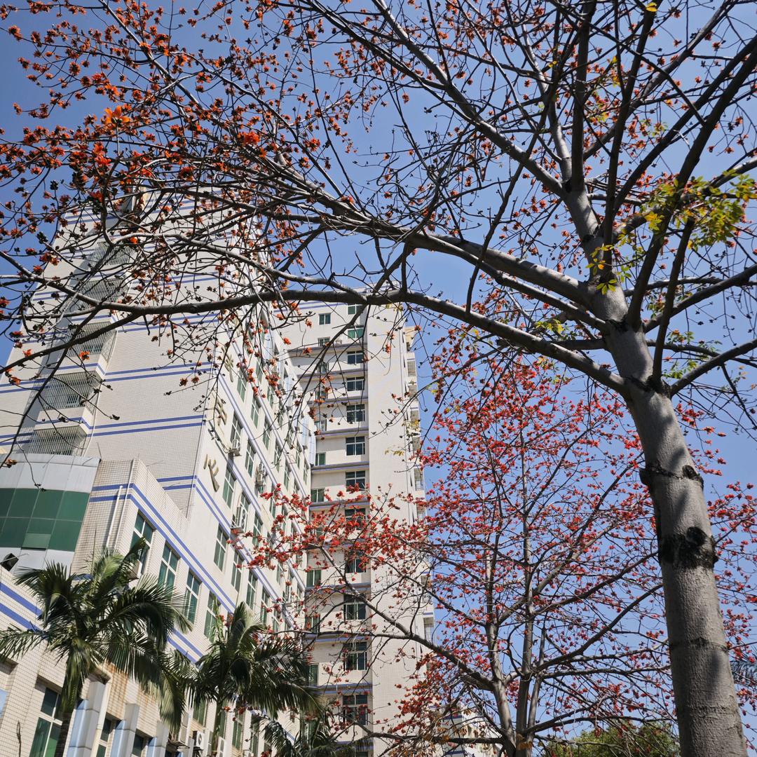 专怼攀枝花湖光的三