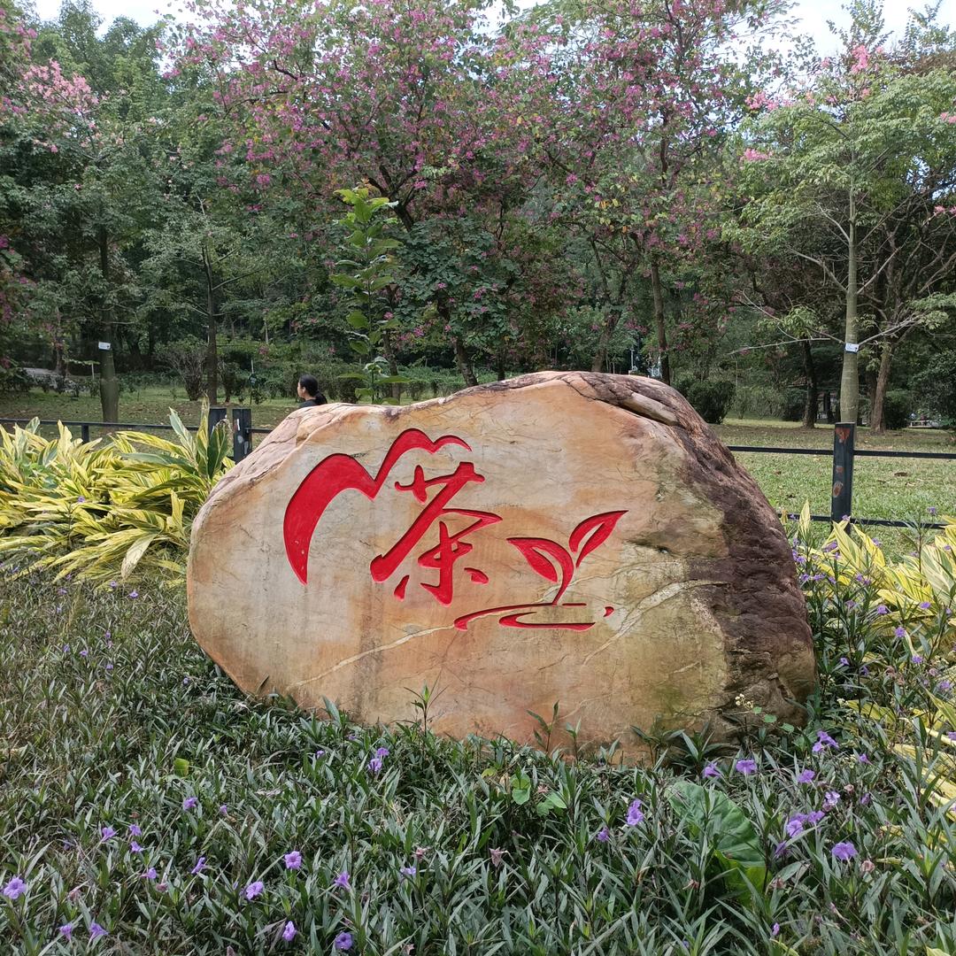 云山奉