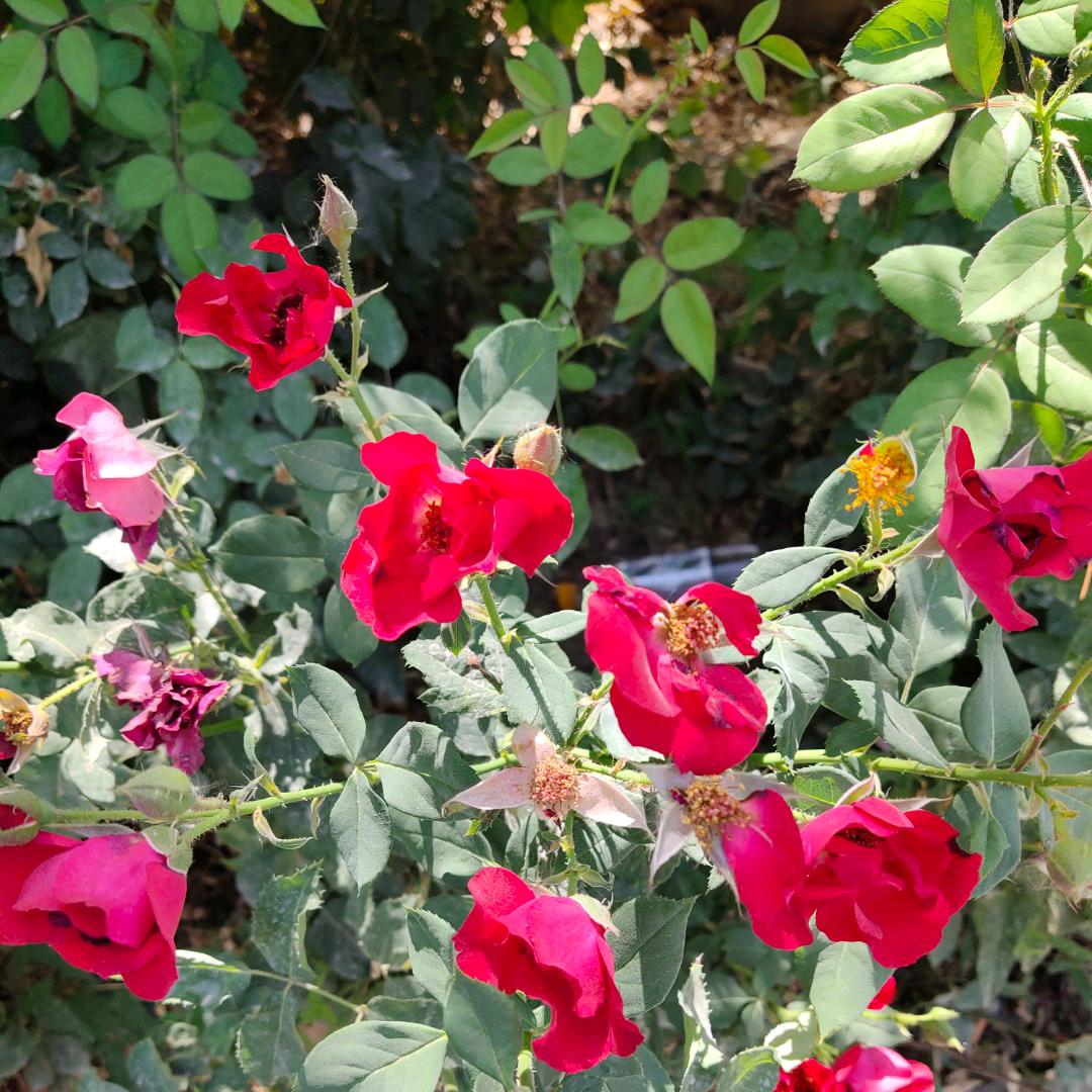 把爱深锁，永不开启