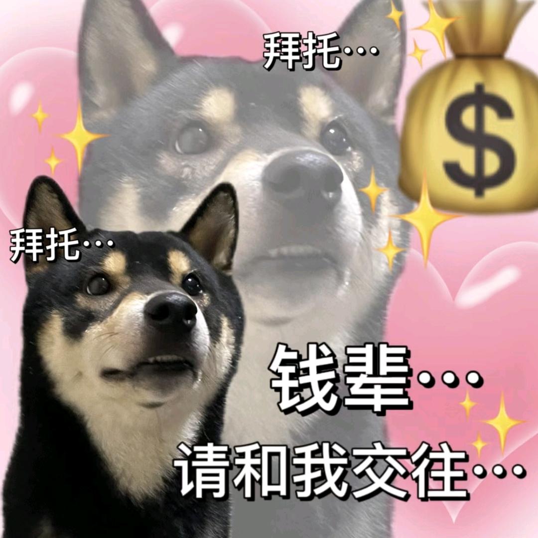 小锅盖爱摸鱼头像