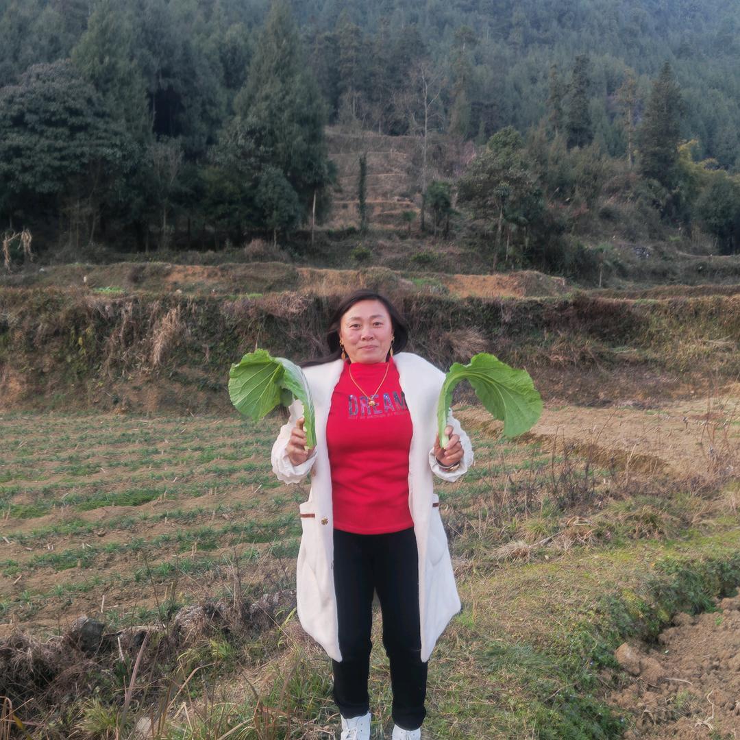 桂妹