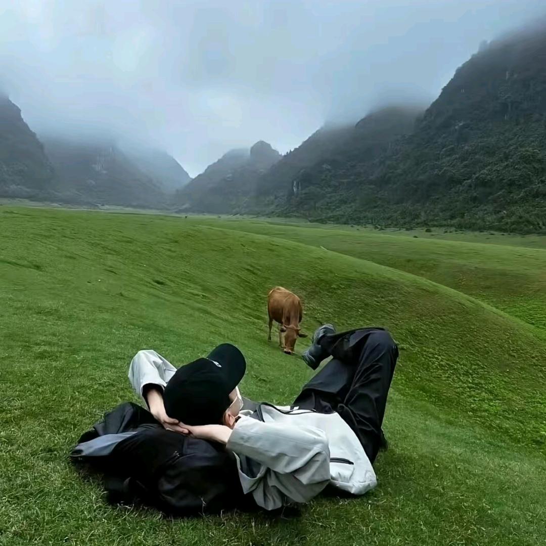 郑先森