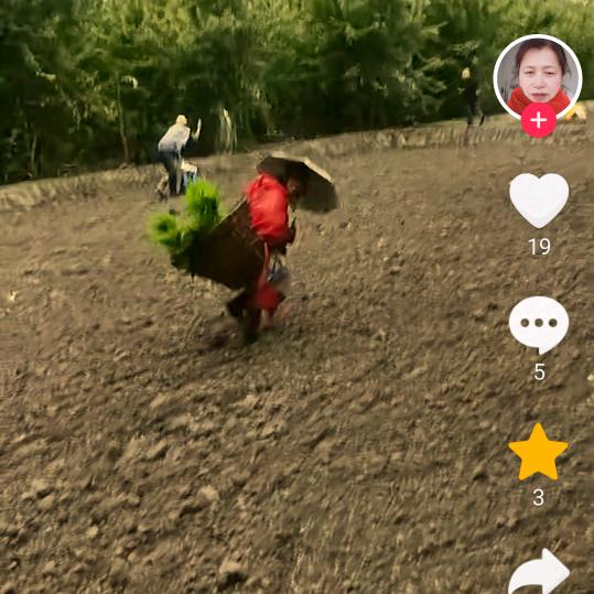 程姐