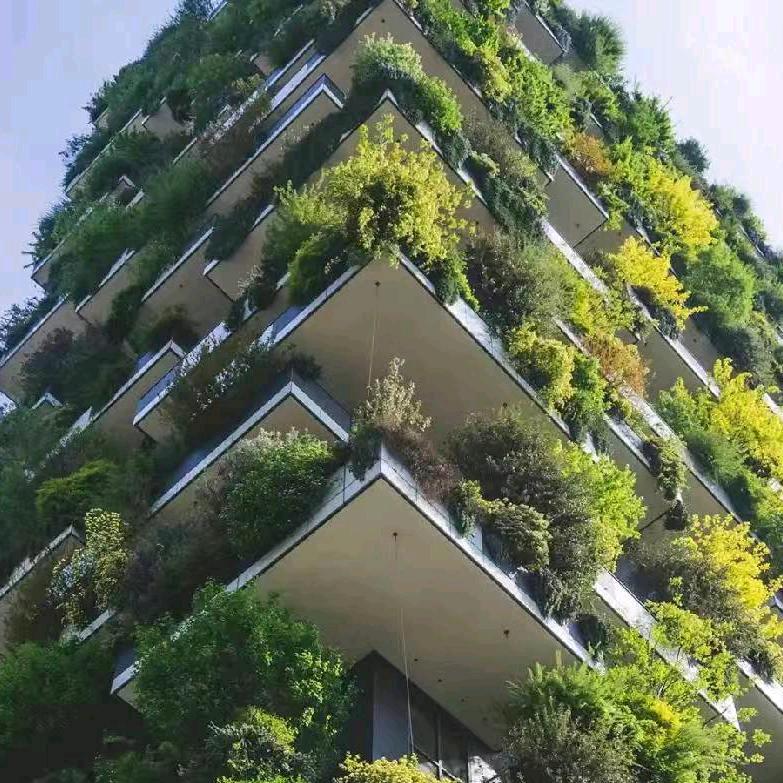 荣
