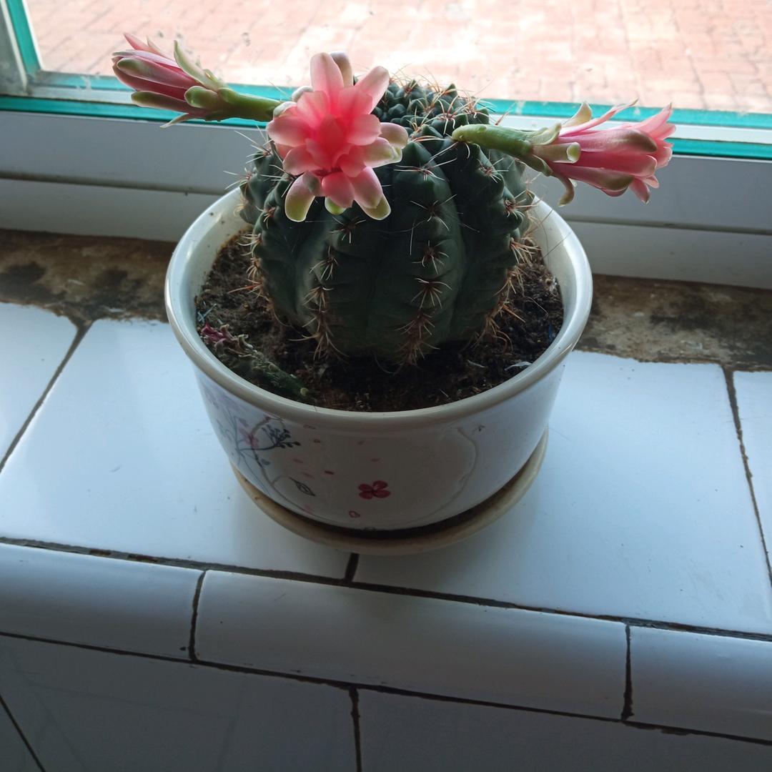 二章