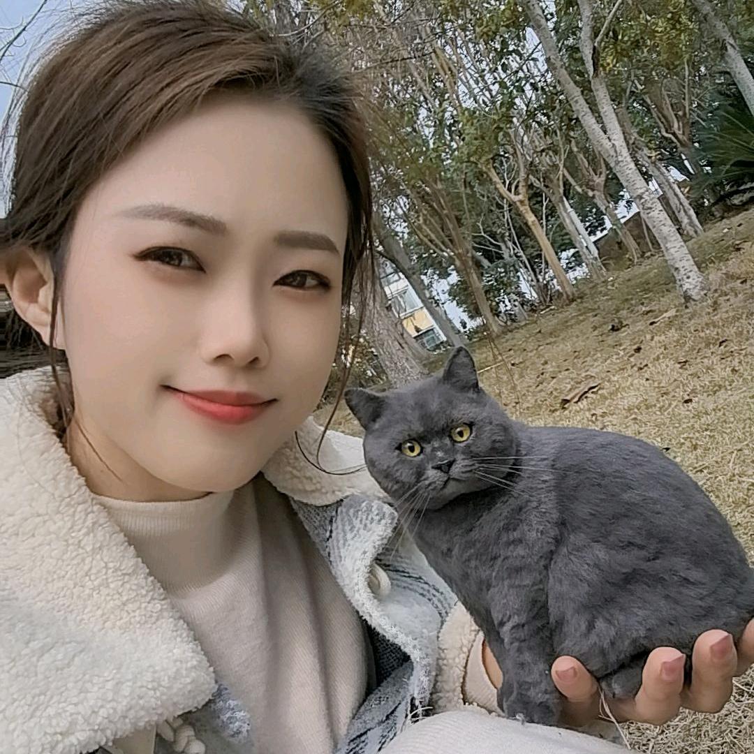 可欣有个羊毛毡工作室