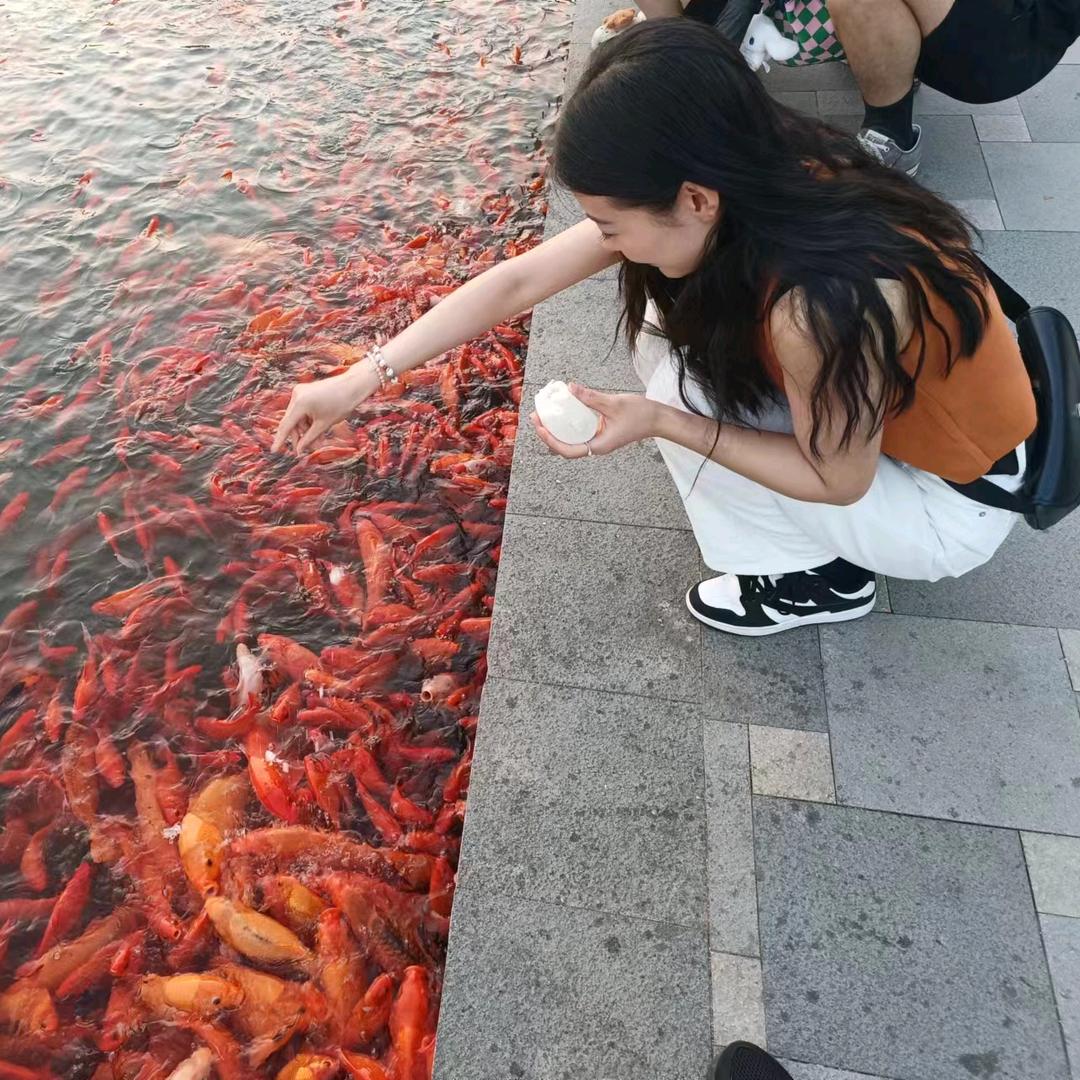 是贝才