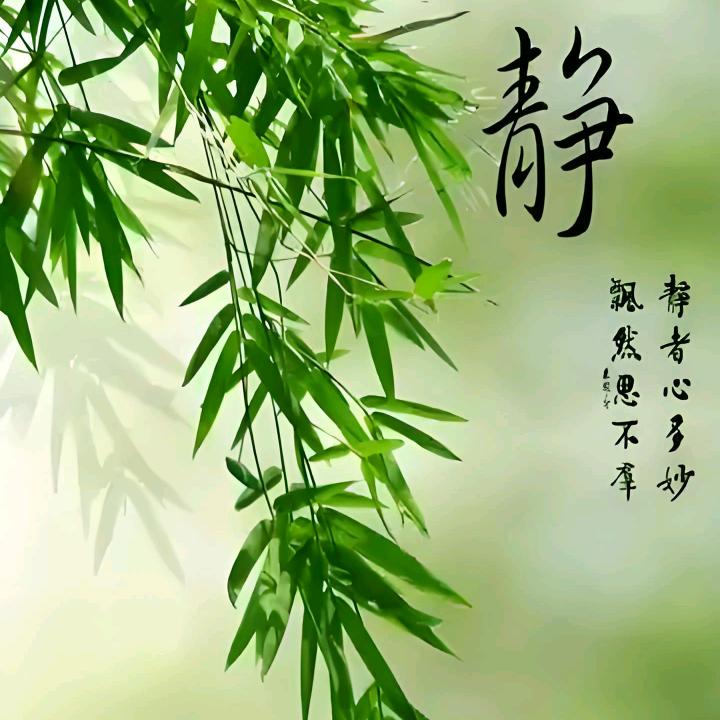 艳姐🌹🌹🍎🍎