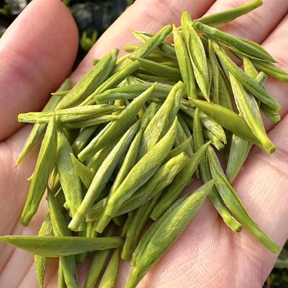 茶叶🍵(冬歌遇见)