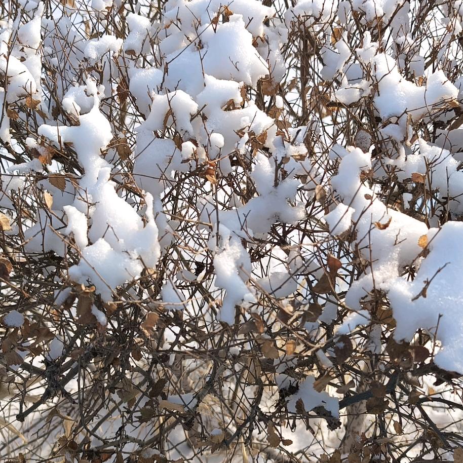 哈哈哈哈哈哈哈5698