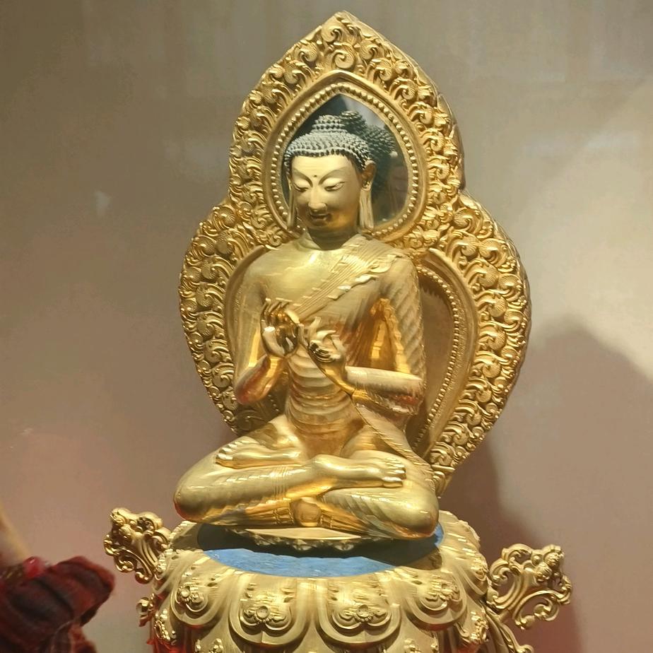 安吉313羊庄