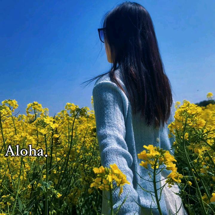 天芯（🐰＋🥝）