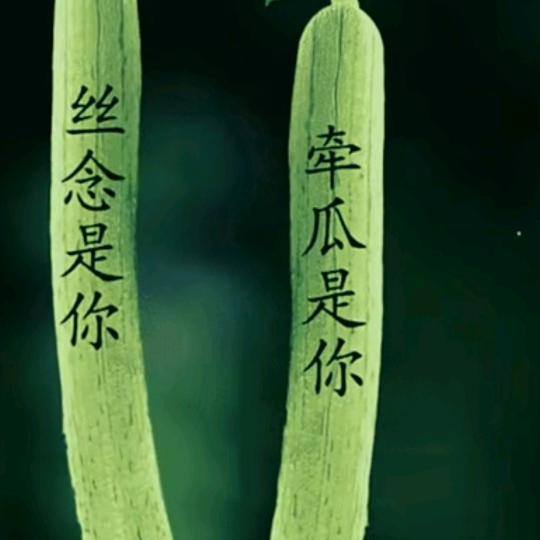 坐在坟头调戏鬼👻