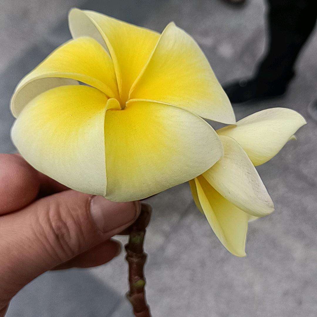 董振刚。