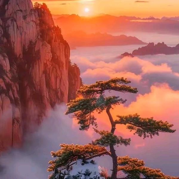 禅心静水