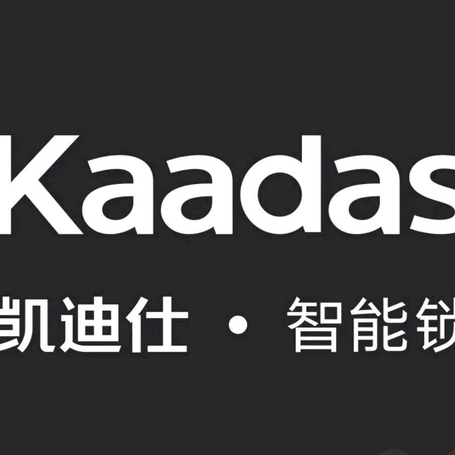 凯迪仕·智能锁(郑州熙地港店)