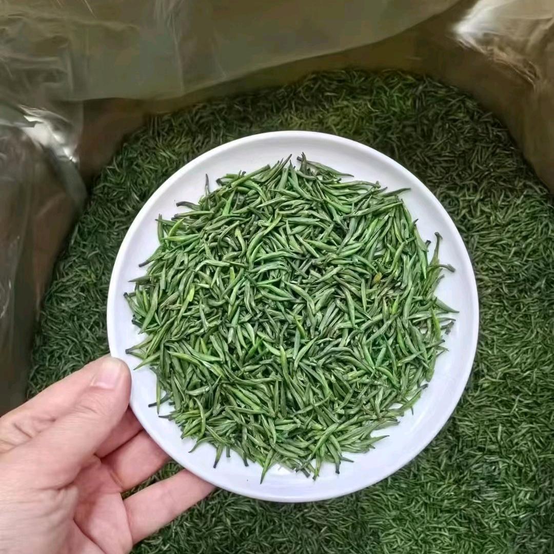 @汪汪队@