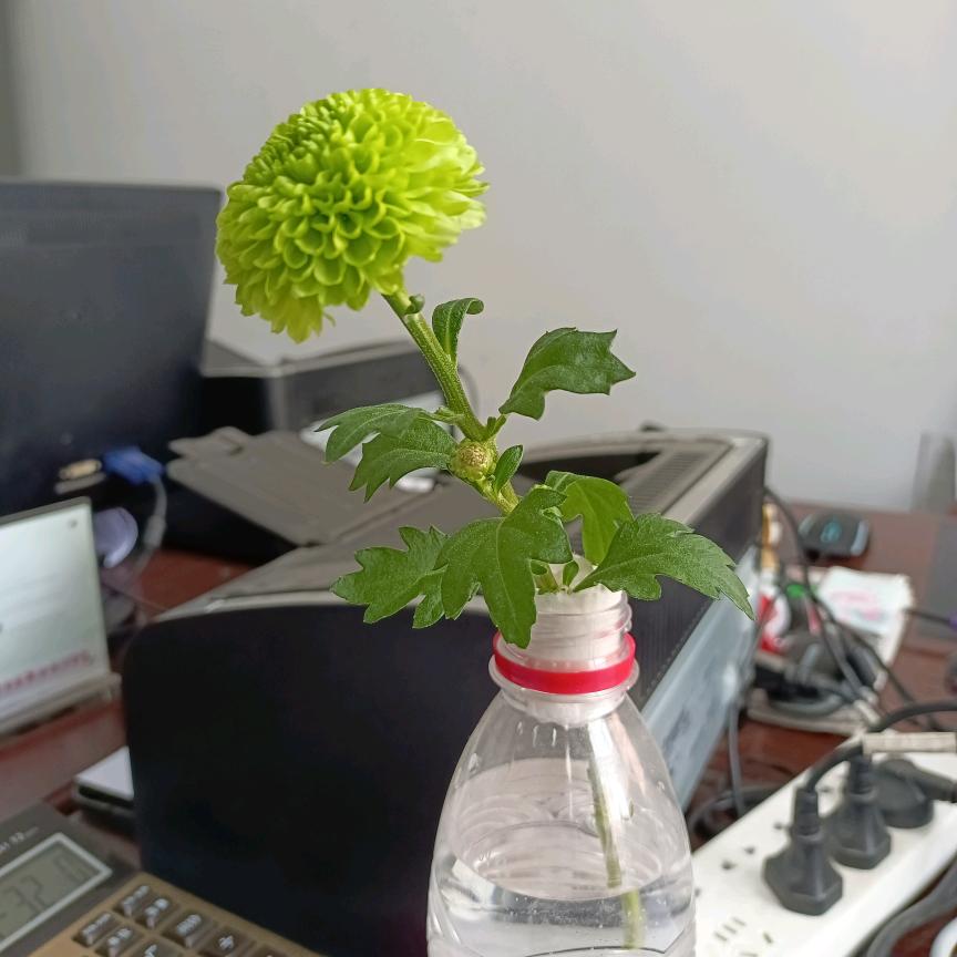 似水流年（立刀横马）