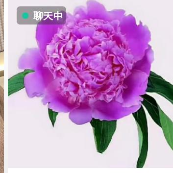 永远等着你