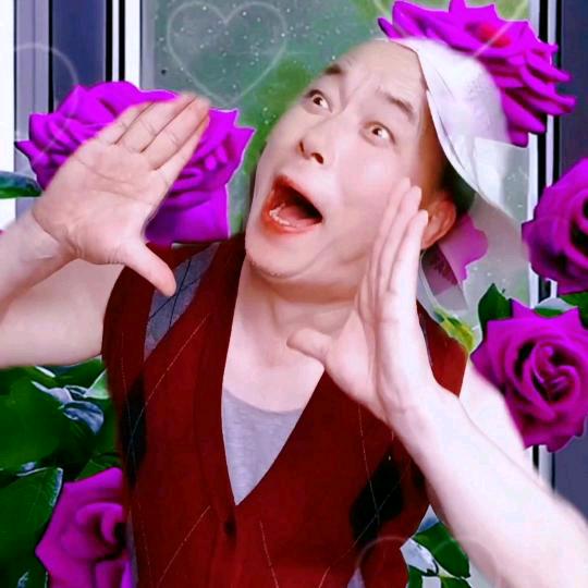 🌹🍀平凡人生🍀🌹