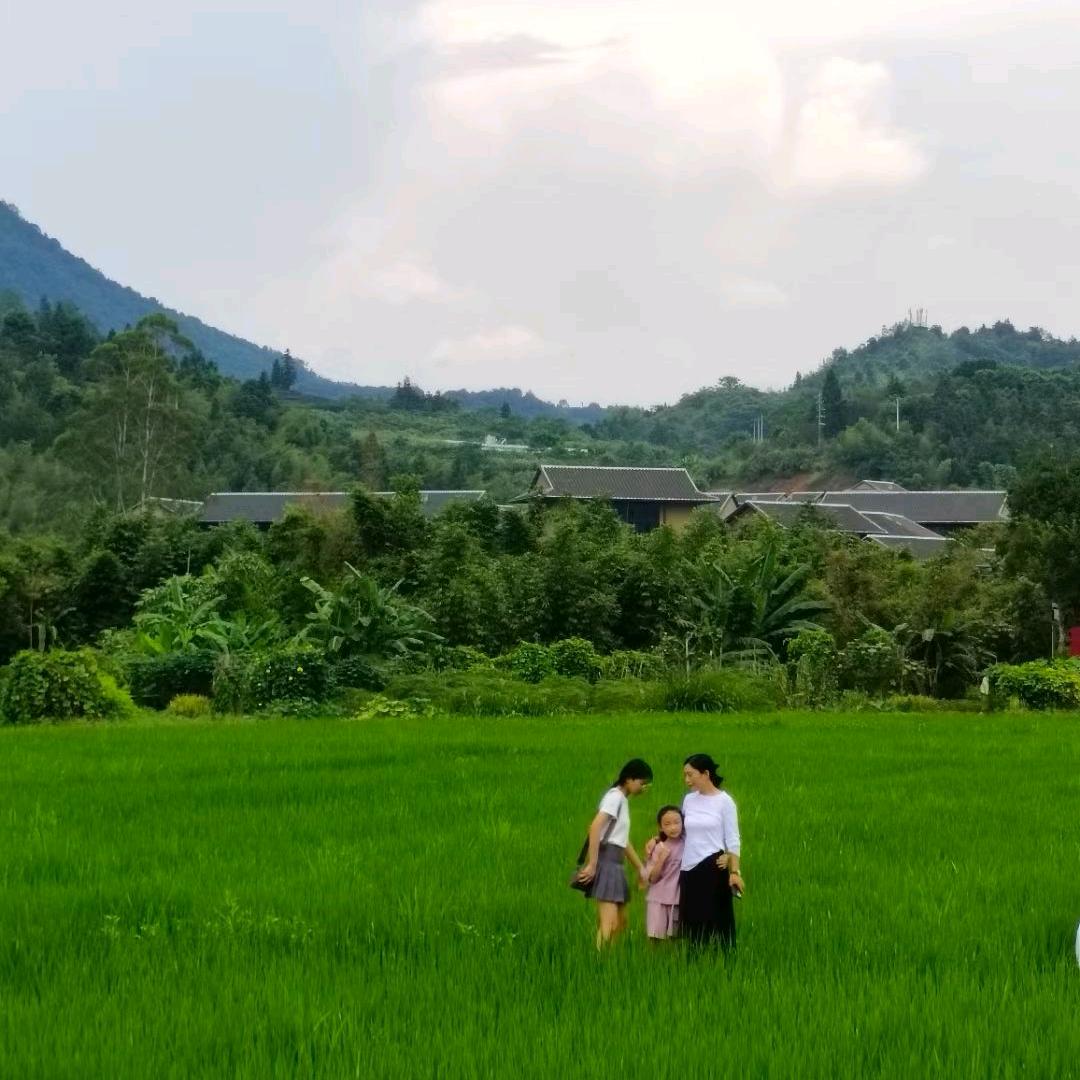 @張順六