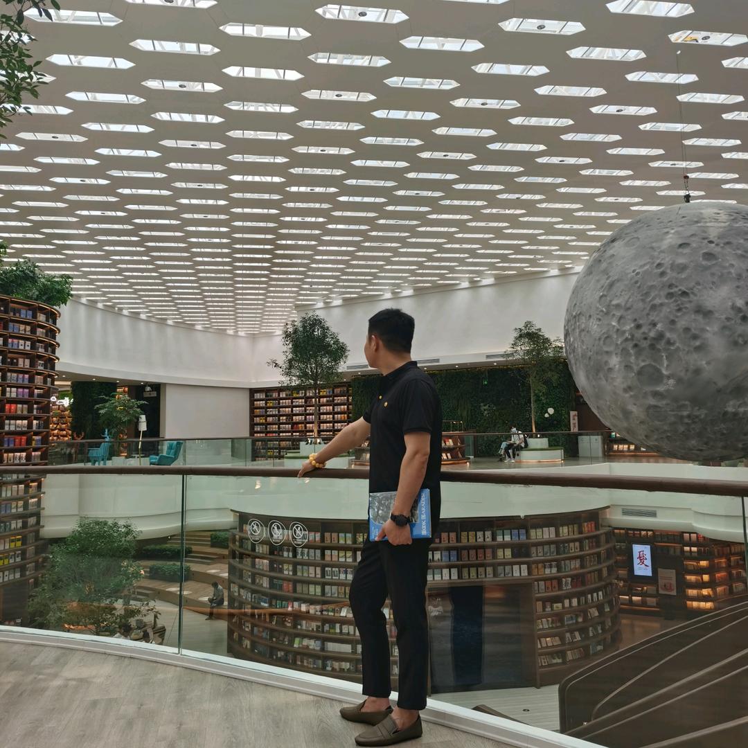 Y阳公子