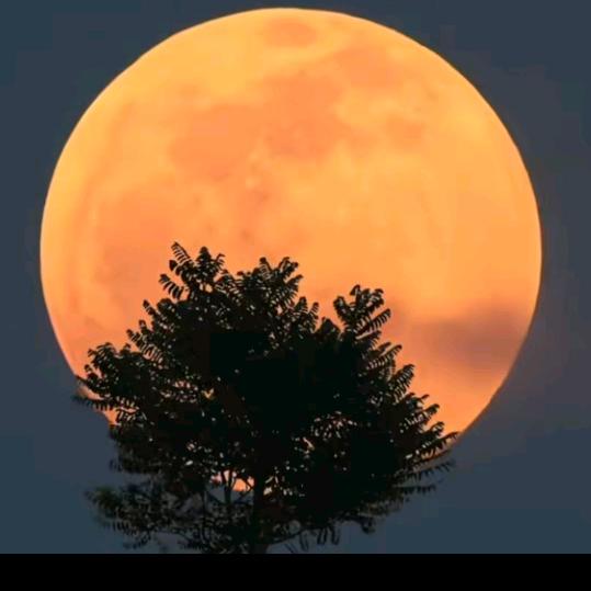 ℡Me是You崇拜的Nanren