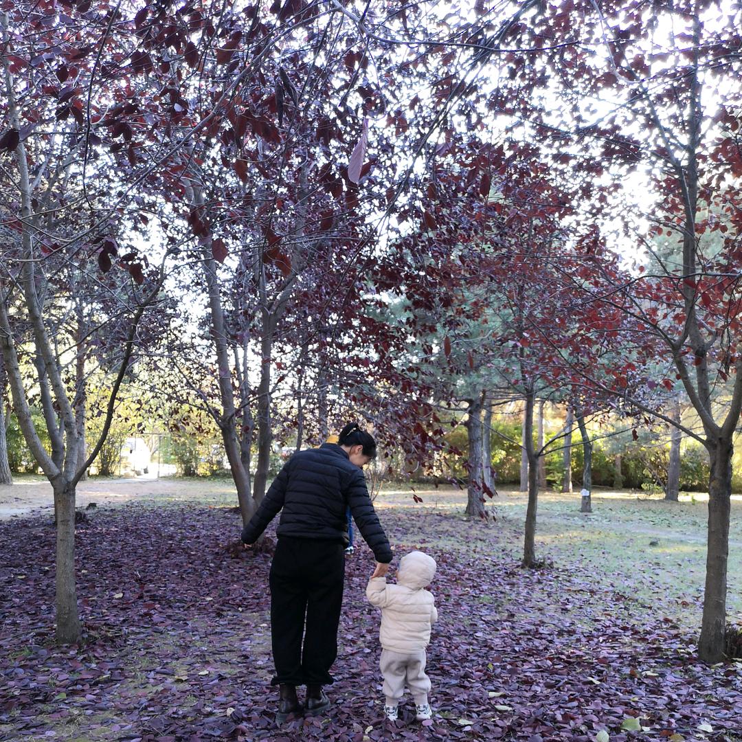 小金豆不让摸！！！