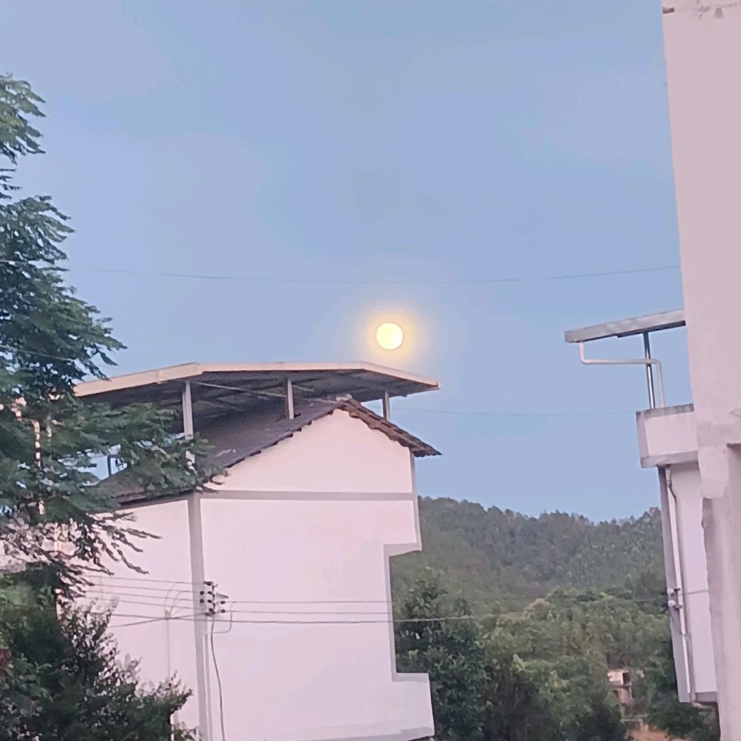 小燕子123