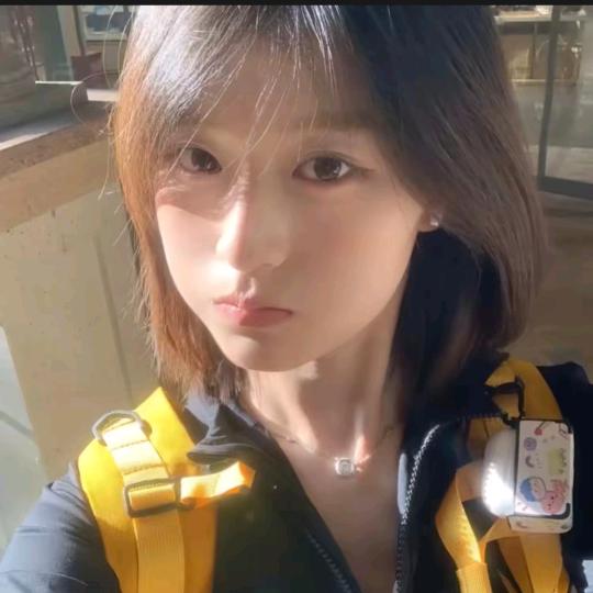 小浣熊🦝