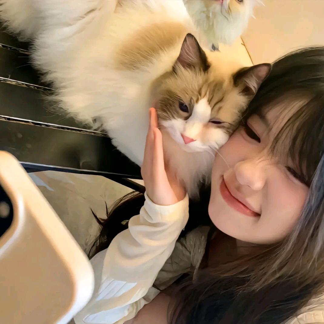 呼呼^