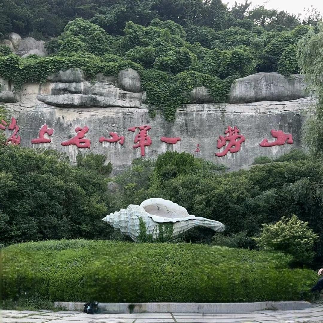 导游大林
